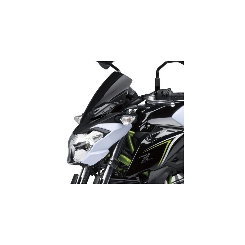 Комплект ветрового стекла и козырька приборной панели Kawasaki Z650