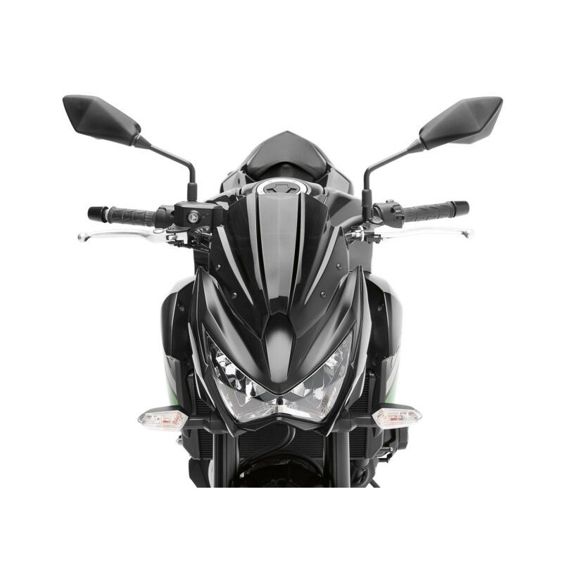 Комплект ветрового стекла и козырька приборной панели Kawasaki Z800