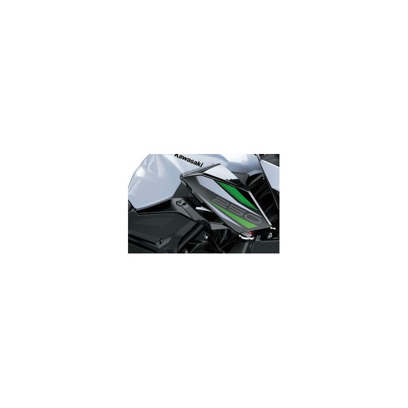 Правая наружная облицовка Kawasaki Z250 2019/2022