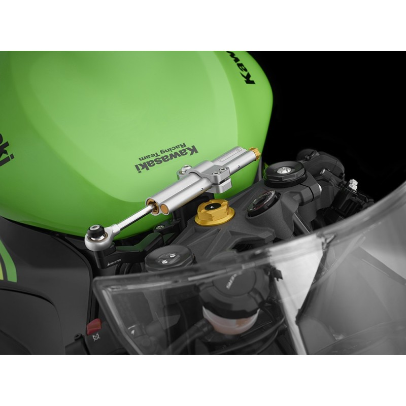 Центральный болт BIKERS Kawasaki NINJA ZX-6R