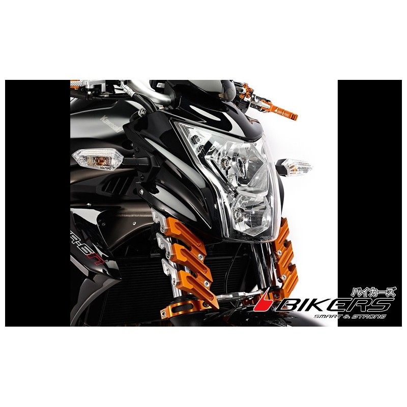 Защита передней вилки BIKERS Kawasaki ER6n 650