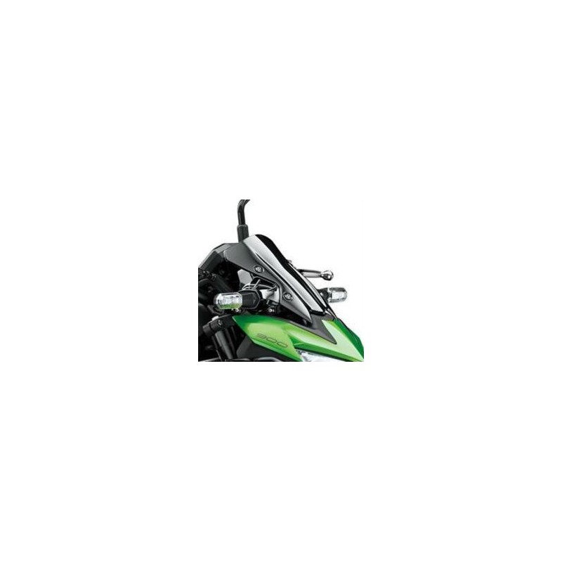 Ветровое стекло Kawasaki Z900 2020 2021 2022 2023