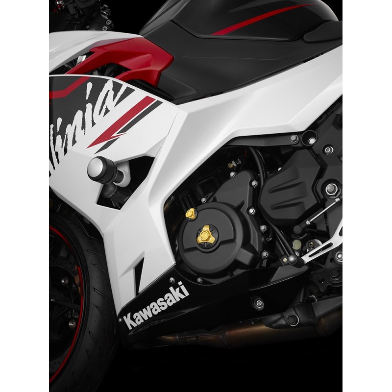 Заглушки крышки генератора BIKERS Kawasaki Ninja 400