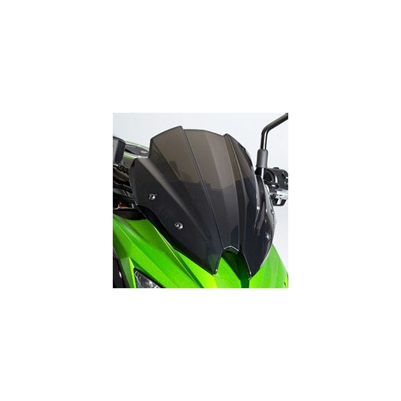 Комплект ветрового стекла и козырька приборной панели Kawasaki Z800