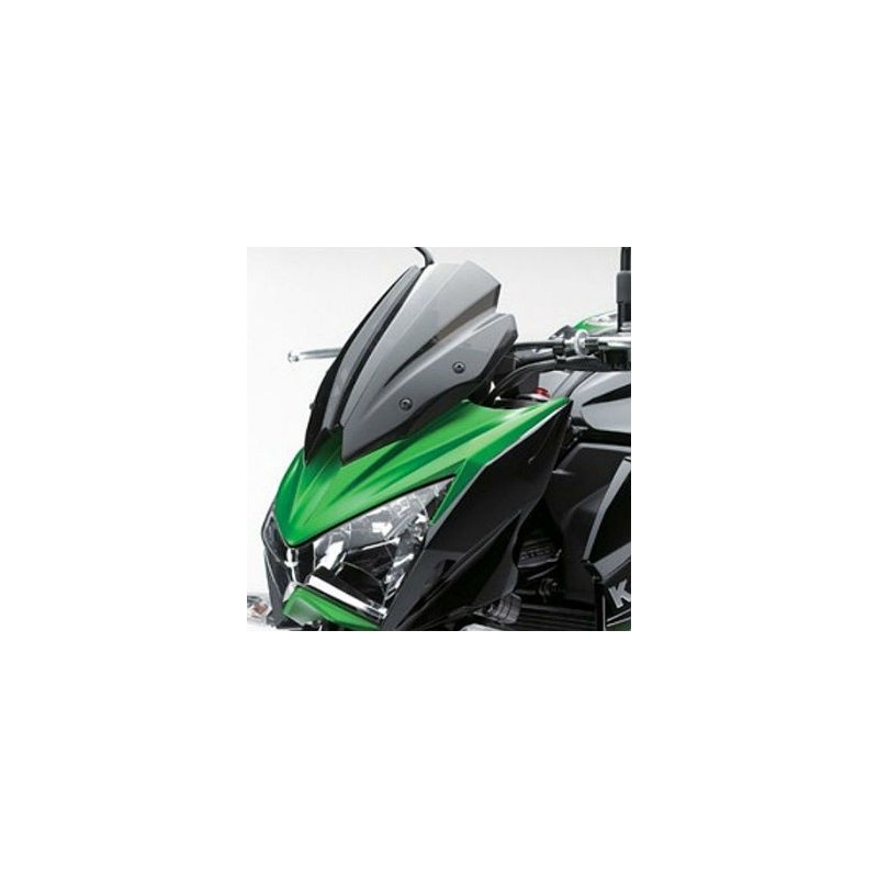 Комплект ветрового стекла и козырька приборной панели Kawasaki Z800
