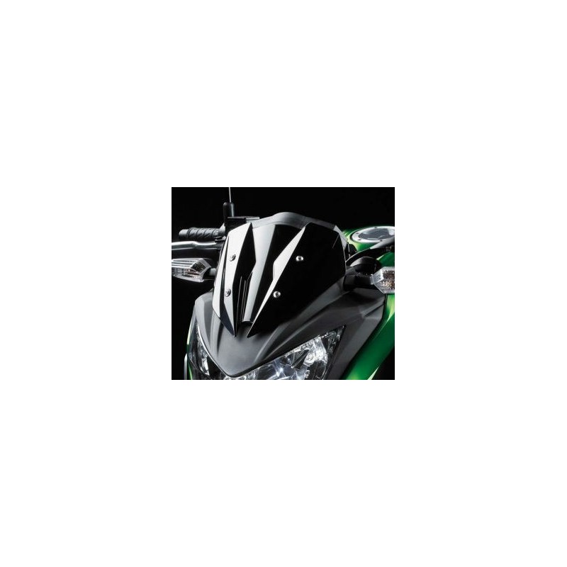 Ветровое стекло Kawasaki Z300