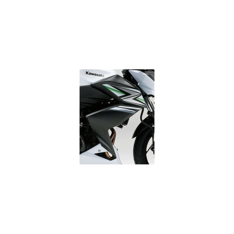 Правая облицовка Kawasaki Z250