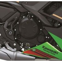 Детали картера NINJA 650