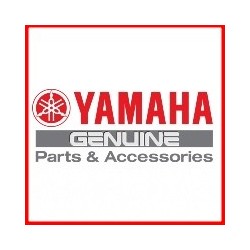 Оригинальные запчасти Yamaha YZF R15 / R15M 2022 2023